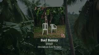 Bad Bunny - DtMF (Brendon-Lee Remix)