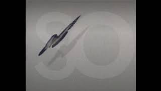 Chrysalis Television/Channel Four (1989)