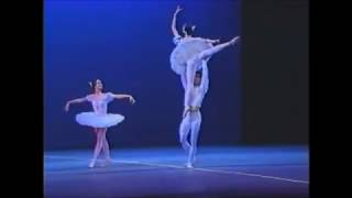 Paquita PD3 (1992)