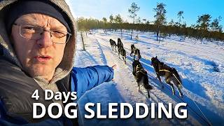 Dog Sledding Adventure & Epic Northern Lights | Guests Were Speechless