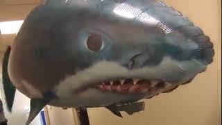 Remote Control Shark Toys Air Swimming RC Animal $24.99  + Free Shipping