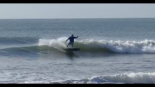 M21 Retro Fish 6'8 Twin Fin Surfboard (53 liters of volume)