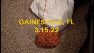 Bermuda Search Party - Seed Sowing Tour 02: Gainesville, FL