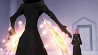 Kingdom Hearts - X-Ray & Vav