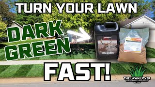 Do You Apply Molasses To Your Lawn? WATCH THIS #diylawncare