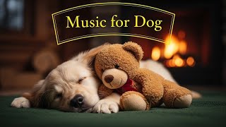 LIVE 24/7 🐶 Milo Sleeping Puppy | Relaxing Dog TV for Calm Dogs & Anxiety Relief