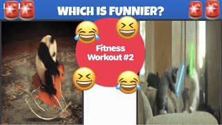 PhysEdZone: “Which is Funnier” PE Workout 2 | Brain Break