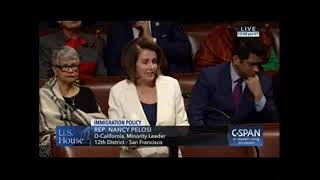 Pelosi Grandsons Birthday Wish Was To Have Brown Skin Brown Eyes Face Of The Future