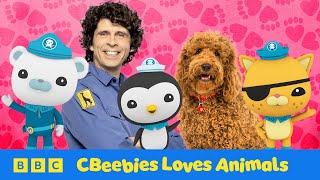 🔴 Animal Adventures with CBeebies for Toddlers and Kids 🐼🦜🐅 | Livestream