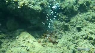 Dive Spa experiences - a healing experience . Sea Water means life
