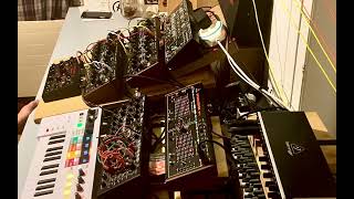 Freestyle Modular Analog Beat-Droning  (with Goa  style background) switzerland 