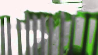 Infestion Animation Taster With Extras- Stop Motion Pro Animation