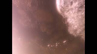 Captain's Lady Before