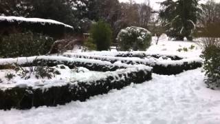 Walking in the snow