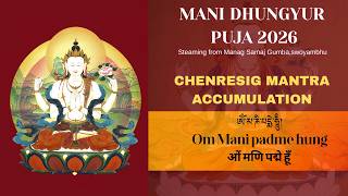 Day 15-1| Amitabha Puja,43rd Mani Dhungdrub Puja 2026 Live Streaming from Manang Samaj Gumba