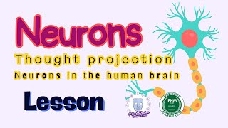 Thought projection by neurons in the human brain