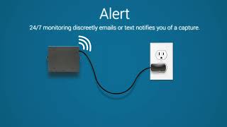 Delta Five Explainer Video