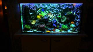 Powered by stability