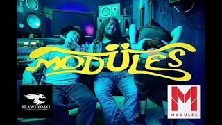 MODÜLES - BRAWLYOSKI ENTERTAINMENT INTERVIEW