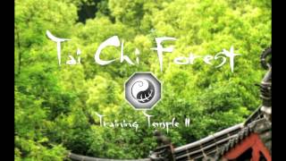 Music: Training Temple II
