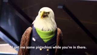 Freedom Video 1h   6 30