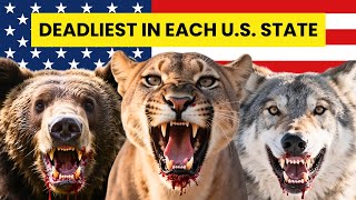 Most Dangerous Animal in Every US State