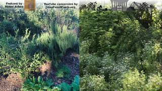 What We Reap—Life beyond industrial agriculture—permaculture & perennial polyculture—Ashes Ashes #16