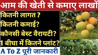 Complete Business Plan for Mango Farming - Farming Business Ideas In India, Agriculture Business