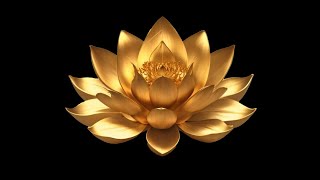 (hoàn mãn) 🐉Học thuộc lòng TỊNH ĐỘ NGŨ KINH | Pháp hữu DIỆU ÂM BÌNH SINH
