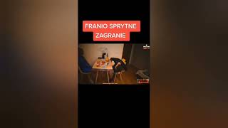 franio sprytne zagranie