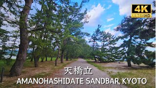 [ KYOTO ] Amanohashidate Sandbar, a relaxing walk surrounded by pine tree #ine #海の京都 #天橋立