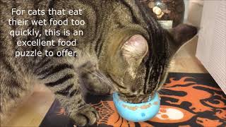 Doc & Pheobe's Wet Food Feeder