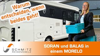 Regalsystem und Schwerlastauszug in einem MORELO