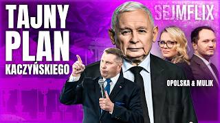 THIS IS CZARNEK'S BIGGEST TROUBLE. "IT COULD BACKFALL AGAINST PiS"