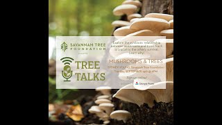 Tree Talks - Mushrooms and Trees