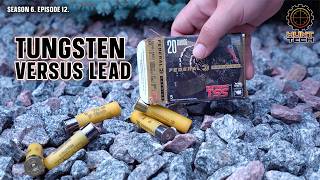 Tungsten vs. Lead Turkey Loads