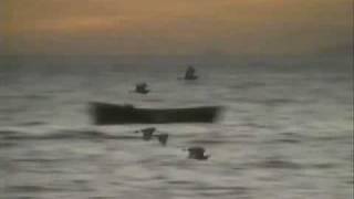 Liona Boyd / Richard Fortin - Concerto of the Andes (3rd Movement)