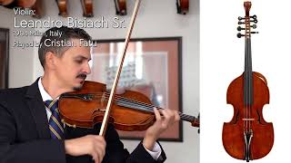 Leandro Bisiach Sr. violino d'amore, 1904 , Milan, ITALY / at the Metzler Violin Shop