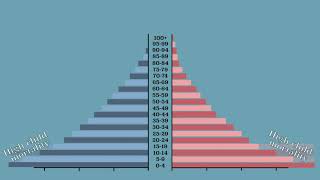 How to use population pyramids