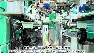PZB-600-F45 Fully Automatic Double-Sided Rice Vacuum Packaging Machine (1-6kg) | Jialong