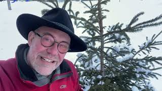 Tree Planting Challenge 