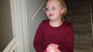 Nora the flamingo