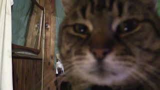 One of these things is not like the others...