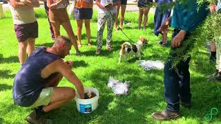 Regen Ray Attends Biodynamics Workshop with Hamish Mackay