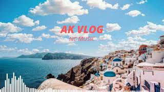 Red Berry   silent partner[ak vlog nc music]
