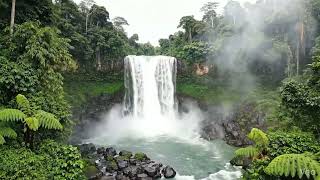 tharalidamaai Pudukananin/തരളിതമായി പുതുകനവിൽ/Malayalam carol song/Lyrics SAM BABY