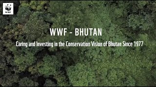 Significant Conservation Milestones Since 1977
