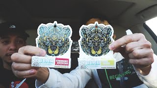 TRYING BEAR LABS CARTS