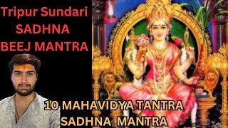 Tripur sundari beej mantra tantrik sadhna |  Devi of Beauty luxury and Divine powers | 10 mahavidya
