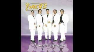 Los Greys En Toda La Chapa